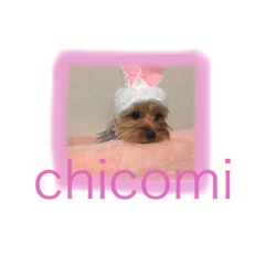 [LINEスタンプ] chicomi①