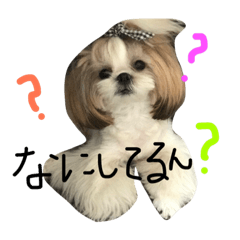 [LINEスタンプ] もことひまり