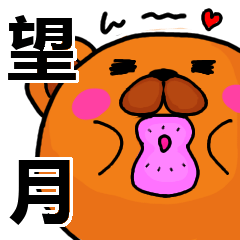 [LINEスタンプ] 望月より愛を込めて（名前スタンプ）