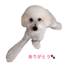 [LINEスタンプ] チェリー スタンプ