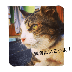 [LINEスタンプ] ゆみたんと愉快な仲間達（動物達もね）