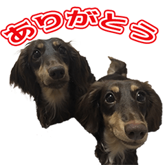 [LINEスタンプ] はなび＆まつり