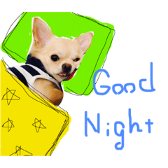 [LINEスタンプ] チワちゃん's