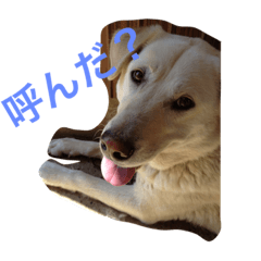 [LINEスタンプ] ラブピー