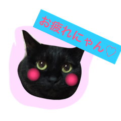 [LINEスタンプ] 黒ネコのミケちゃん.ミユちゃん