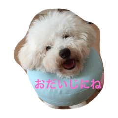 [LINEスタンプ] ふうたんの声