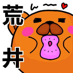 [LINEスタンプ] 荒井より愛を込めて（名前スタンプ）