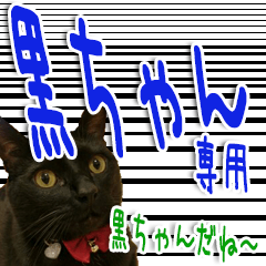 [LINEスタンプ] ★黒ちゃん専用★吹き出し＆写真猫
