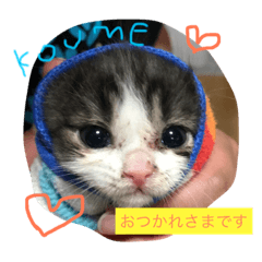 [LINEスタンプ] にゃあぎんうめ