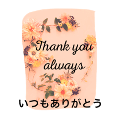 [LINEスタンプ] お花の言葉 日本語と英語