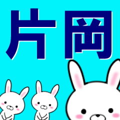 [LINEスタンプ] 超★片岡(かたおか・カタオカ)なウサギの画像（メイン）