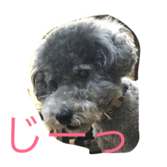 [LINEスタンプ] 今日のふらんちゅ