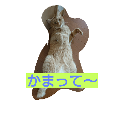 [LINEスタンプ] はれのスタンプ
