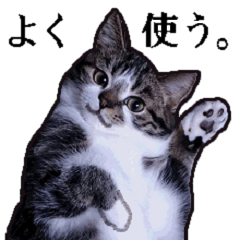 [LINEスタンプ] よく使う。めんちニャンの日常