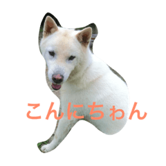 [LINEスタンプ] エコナの日常