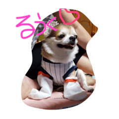 [LINEスタンプ] るうく♡1