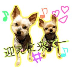 [LINEスタンプ] ミシェル＆ジェシー