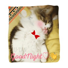 [LINEスタンプ] 可愛いペット うーたん