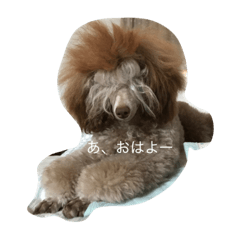 [LINEスタンプ] らんの毎日