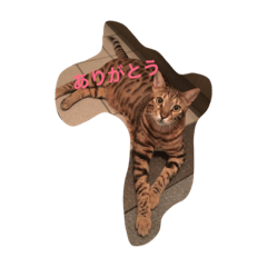 [LINEスタンプ] ルークの生活