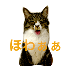 [LINEスタンプ] 日々是さくびー