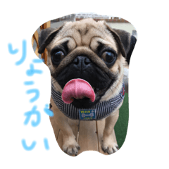 [LINEスタンプ] マロン侍