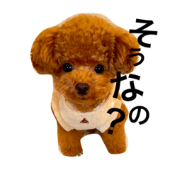 [LINEスタンプ] しらす先輩だぞ〜