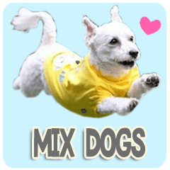 [LINEスタンプ] ミックス犬の毎日使えるスタンプの画像（メイン）