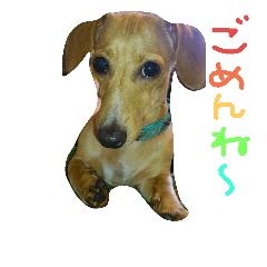 [LINEスタンプ] ダックス＆チワックス