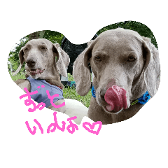 [LINEスタンプ] weim