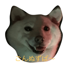[LINEスタンプ] ゆずポン酢1122