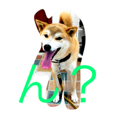 [LINEスタンプ] 犬と金魚