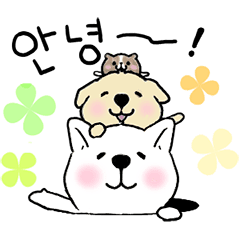 [LINEスタンプ] 可愛く動く犬ときどきモルモット【韓国語】の画像（メイン）