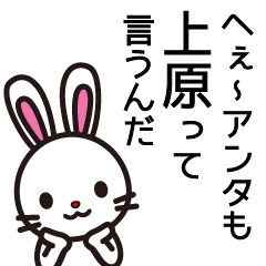 [LINEスタンプ] 上原はお腹が減ると機嫌悪い