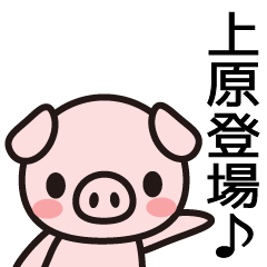 [LINEスタンプ] 上原の人生だしな。うん