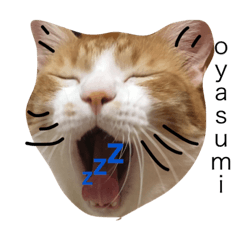 [LINEスタンプ] ねこっぽ3