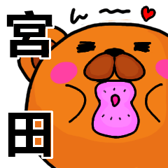 [LINEスタンプ] 宮田より愛を込めて（名前スタンプ）