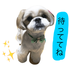 [LINEスタンプ] くぅちゃーる