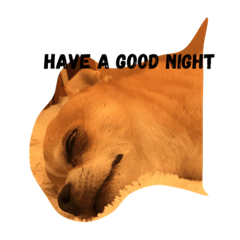 [LINEスタンプ] Kotetsu of chihuahua