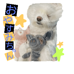 [LINEスタンプ] mamemamedog