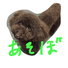 [LINEスタンプ] kawaiitoipu-