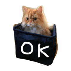 [LINEスタンプ] つくねのスタンプ①