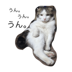 [LINEスタンプ] まるこはん。と息子はん。