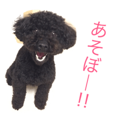 [LINEスタンプ] 黒プーがんも