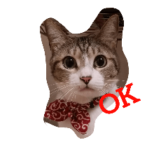 [LINEスタンプ] うちの猫 にゃたろとちびすけ