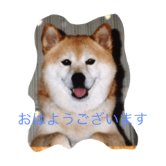 [LINEスタンプ] 一緒に遊ぼうよ