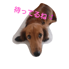 [LINEスタンプ] aruto