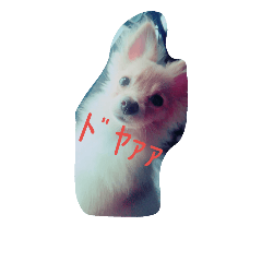 [LINEスタンプ] 毒舌わんわんお