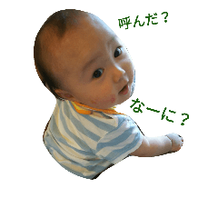 [LINEスタンプ] たいがの日常