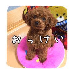 [LINEスタンプ] モカちゃん(♂)2